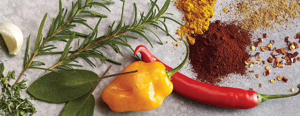 The McCormick Science Institute