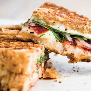 Linked Image Grid with Captions1