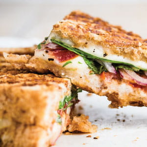 Linked Image Grid with Captions1