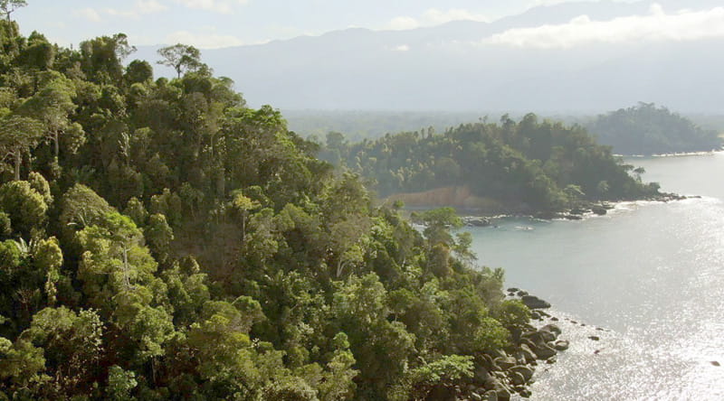 Protecting-Biodiversity