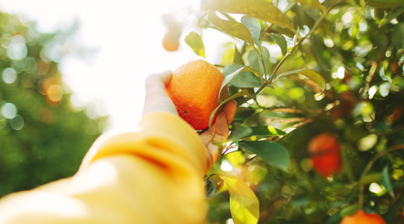 Sustainability-trend-report