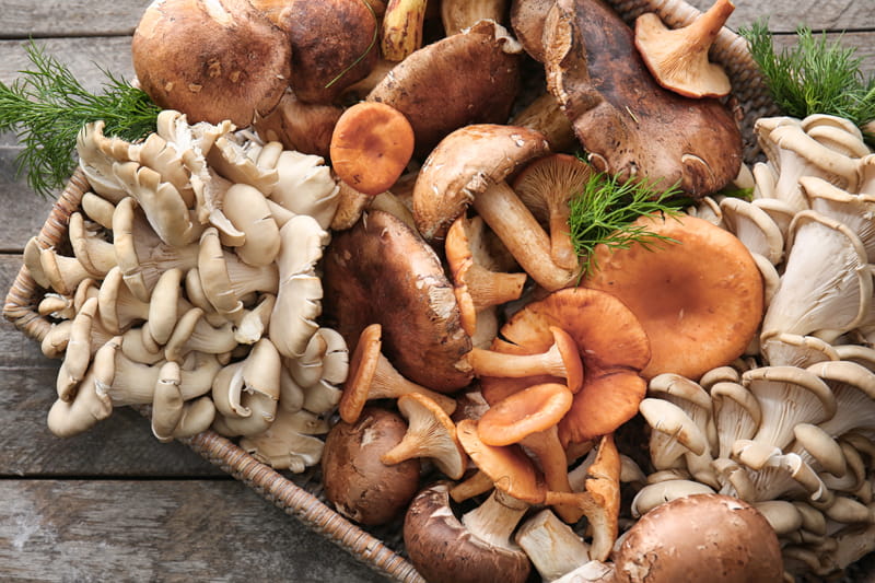 8_2021_inspired-tastes_bold-umami_hero