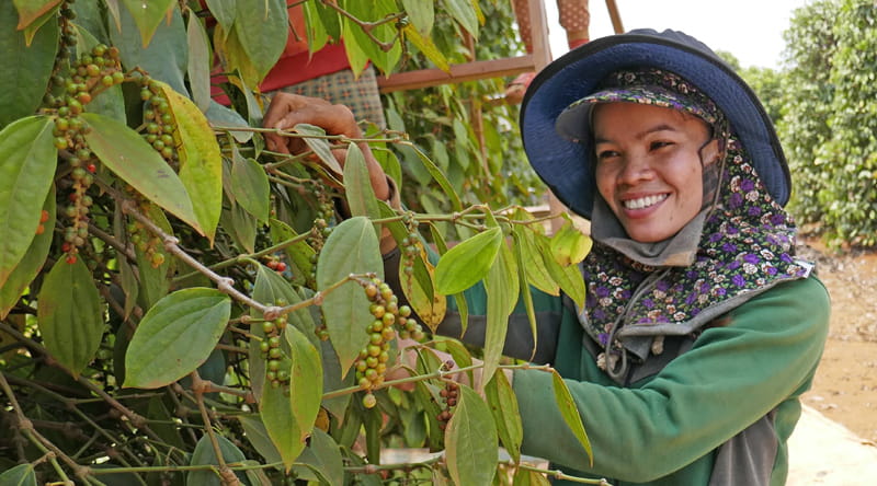 Responsibility_Blog-hero_July_Resiliency-in-our-Supply-Chains