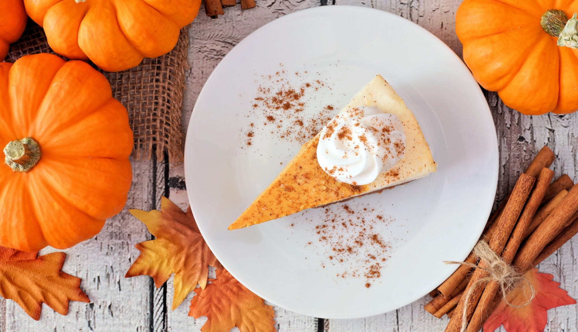 pumpkin-pie-with-pumpkin