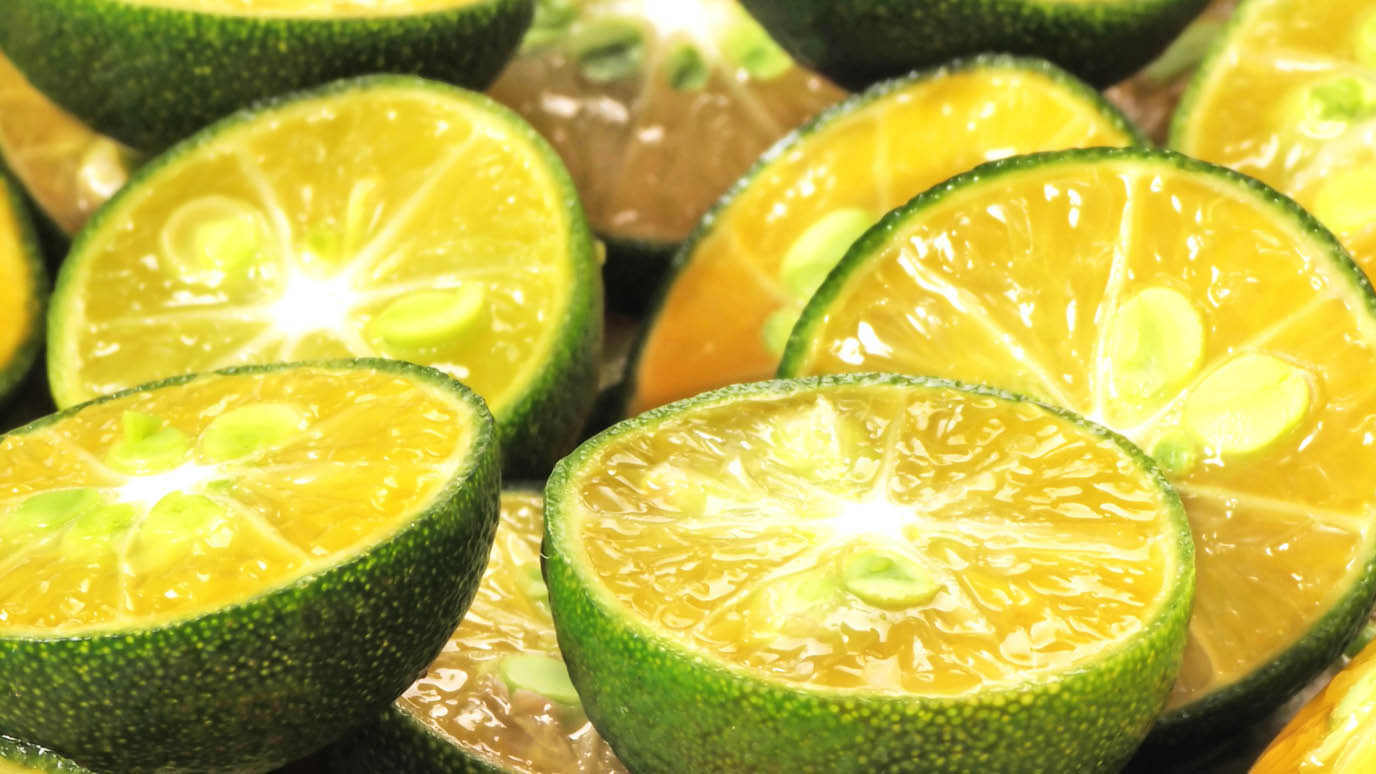 Calamansi-Header