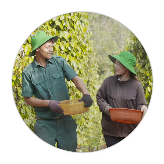 Responsibility_Purposeful-performance--image