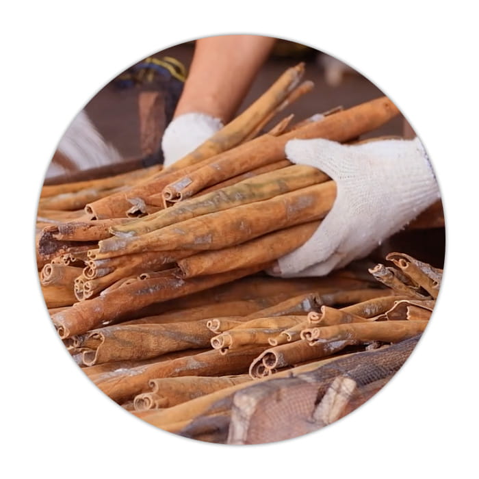 Responsibility_Standing-together-image