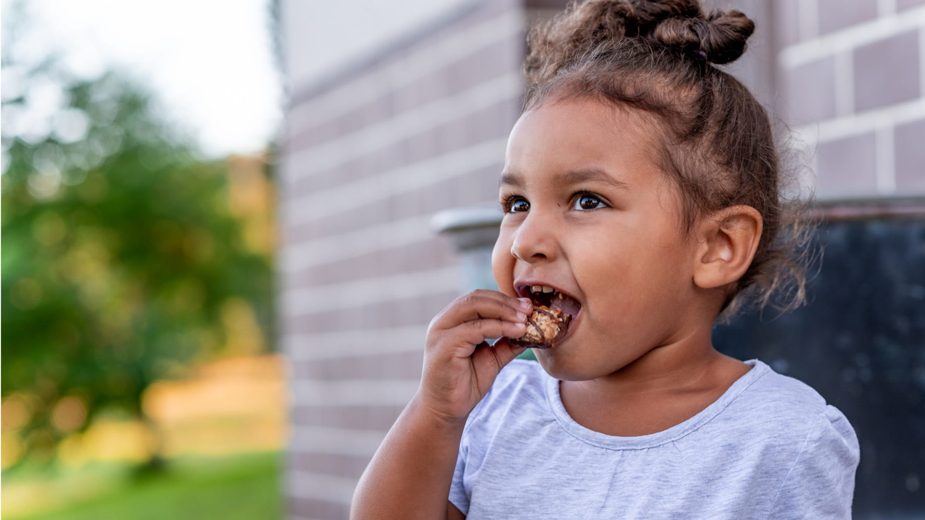 Bars-Sitecore-Header2