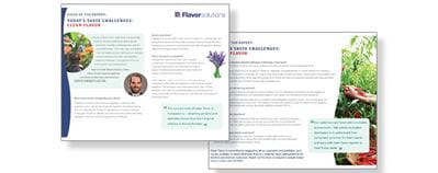 Clean-VOE-Email-Header2