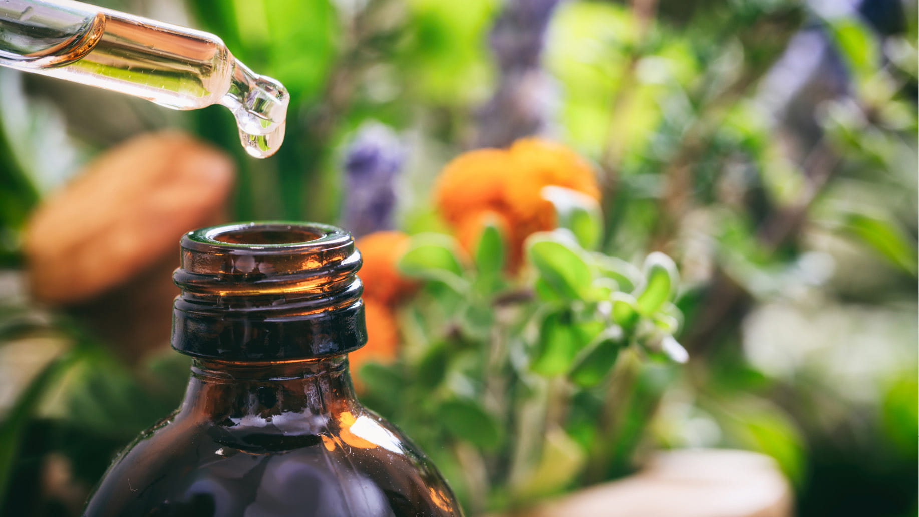 Clean-VOE-Sitecore-Header2