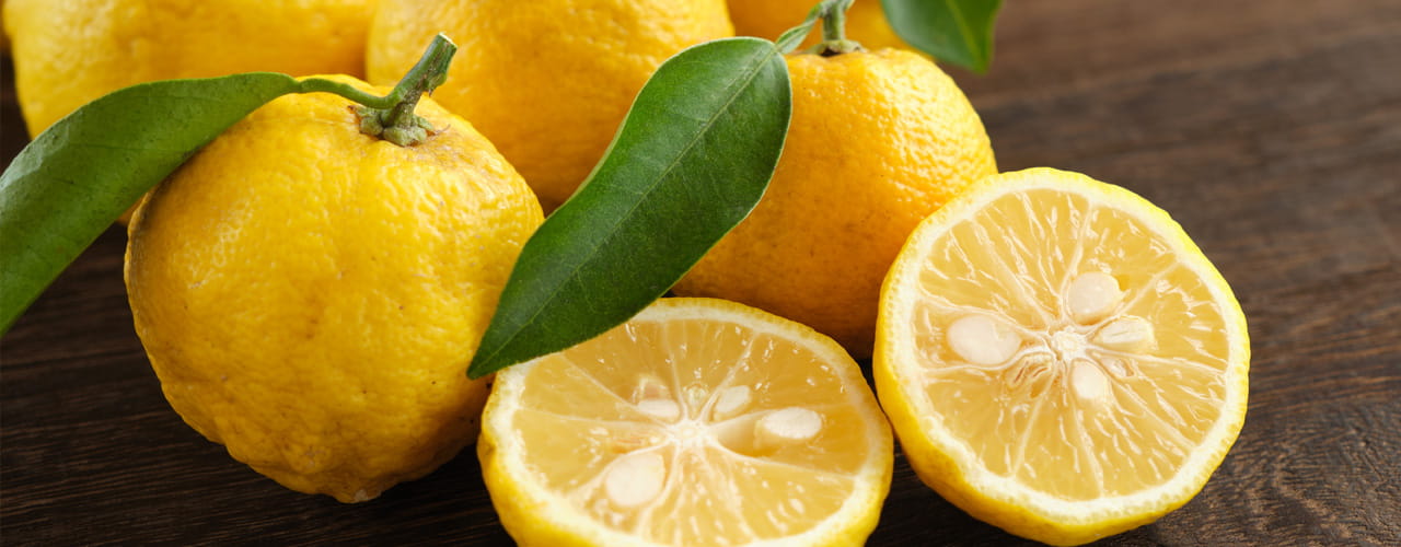 42225-Flv-Spotlight_1280-x-500_yuzu