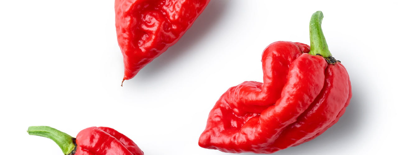 101425-Flv-Spotlight_1280-x-500_Pepper