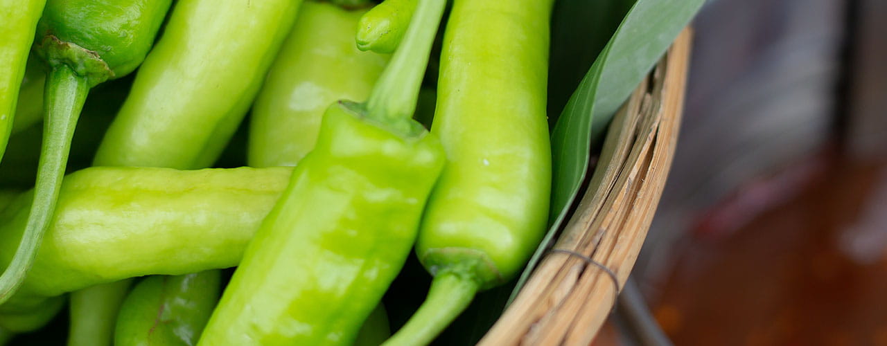 green_hatch_chili_1280x500