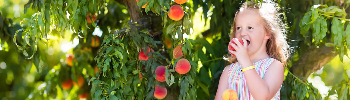 ripe_for_discovery_1400x400