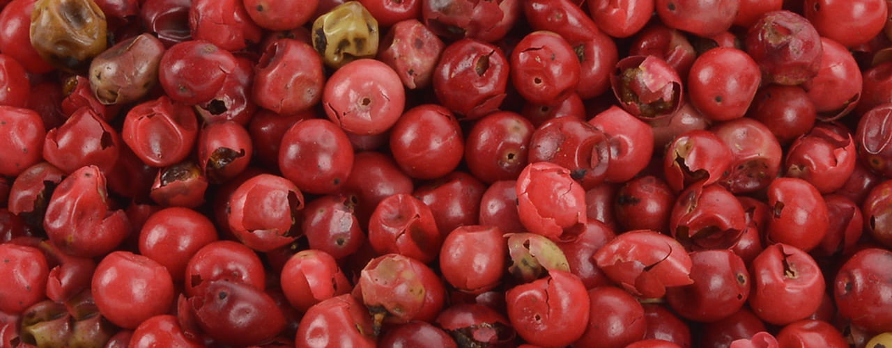 April-26_25-Flv-Spotlight_1280-x-500_Pink-Peppercorn