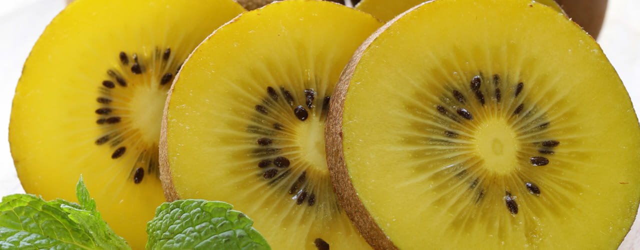 May-26_25-Flv-Spotlight_1280-x-500_Golden-Kiwi
