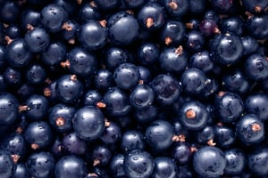 Black_Currant_Overhead_Stock-1
