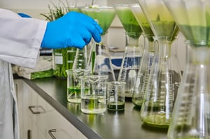 Clean Flavor (Toe)_Beakers_Extracts_pouring2 (1)