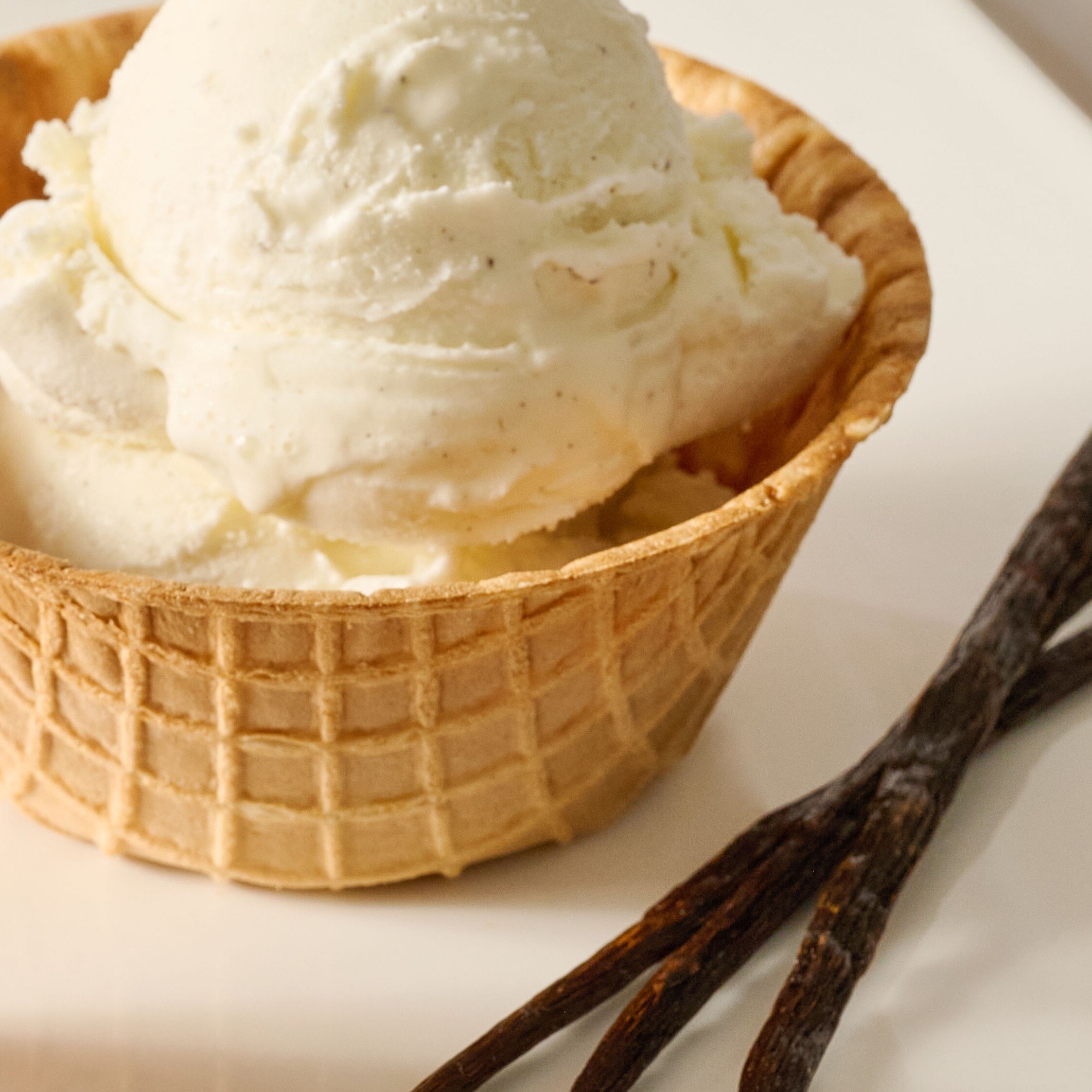 Flavor_Solutions_frozen_dessert_product_in_square_2026-zoom