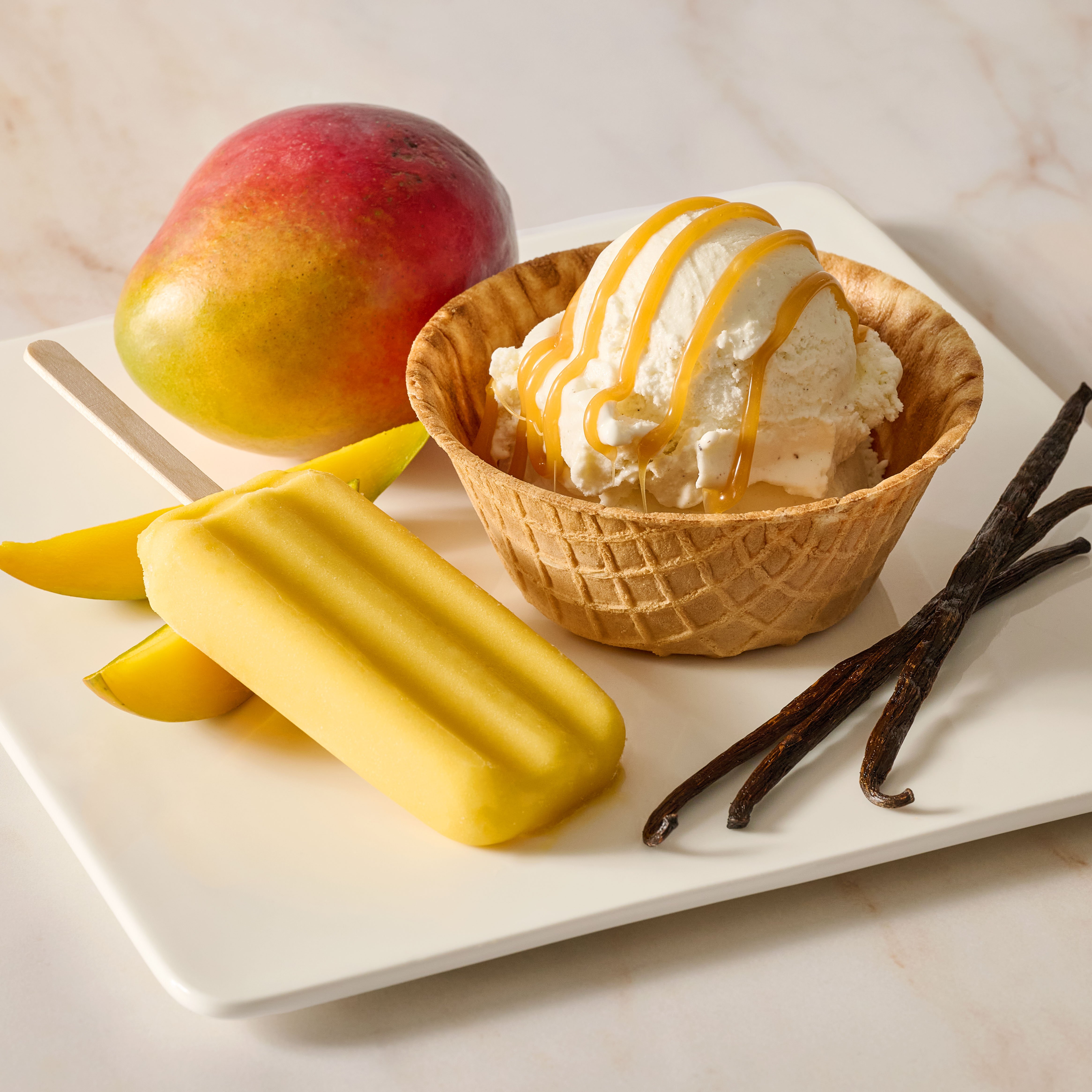 Flavor_Solutions_frozen_dessert_product_out_square_2026 (2)