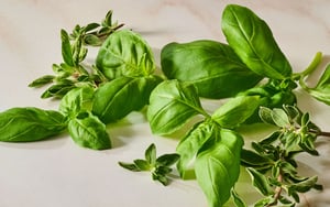 Flavor_Solutions_ingredients_italian_horizontal_2026 (1)