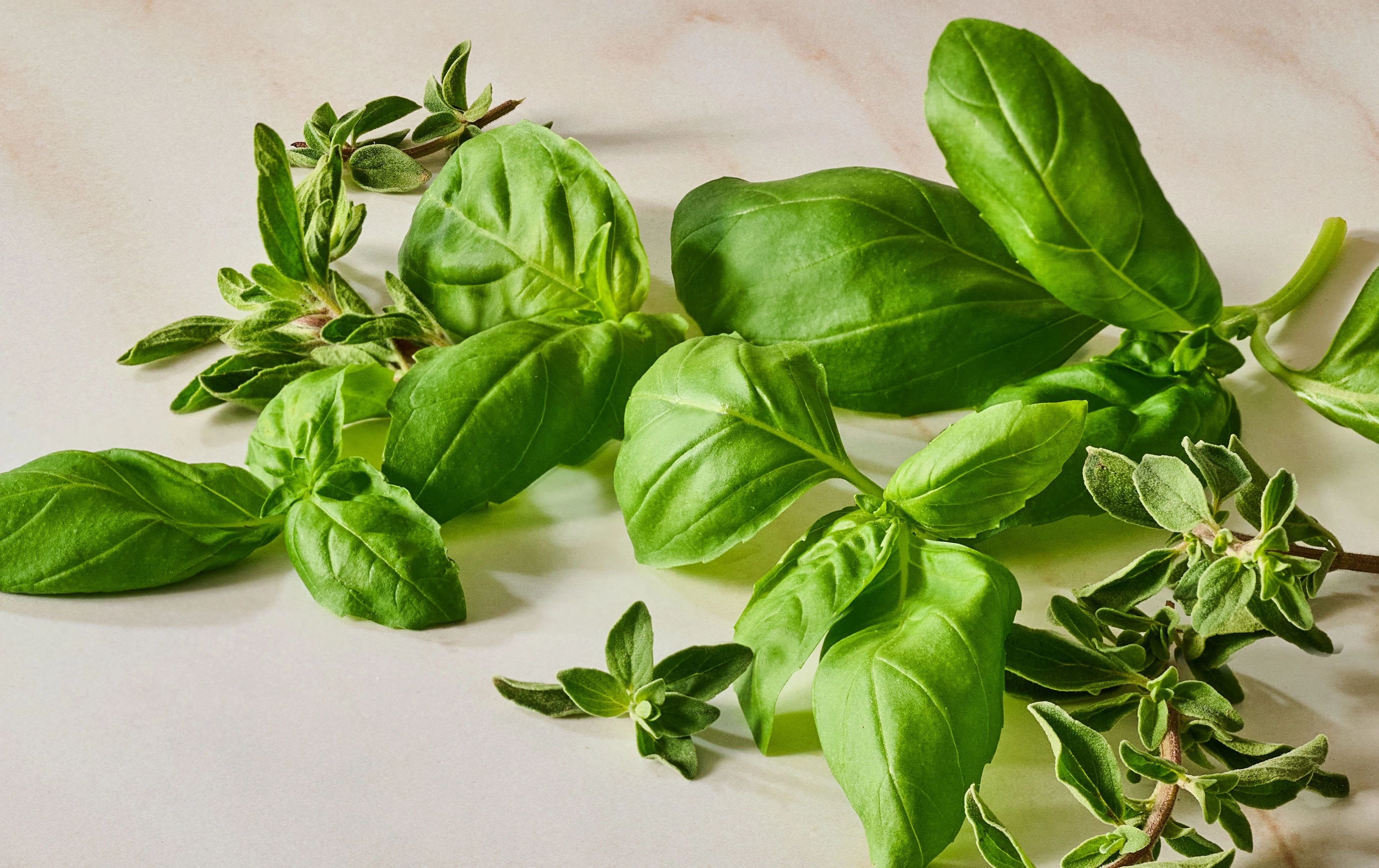 Flavor_Solutions_ingredients_italian_horizontal_2026