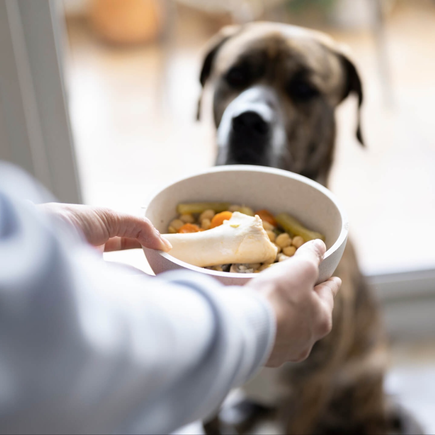 Fresh pet food (1)