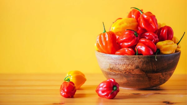 0325-Flavor-Spotlights-Sitecore-Header