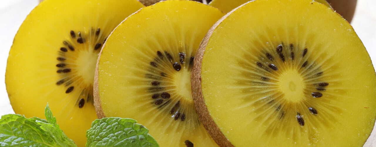 May-26_25-Flv-Spotlight_1280-x-500_Golden-Kiwi
