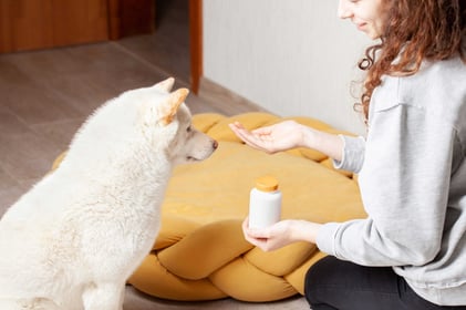 What’s New in Pet Supplements