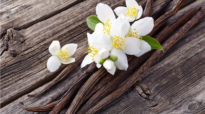 Flavor Spotlight: Salted Vanilla