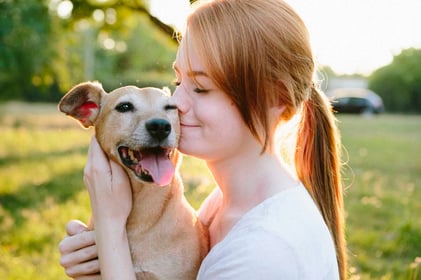 Pet Care Flavor Solutions Designed With You In Mind