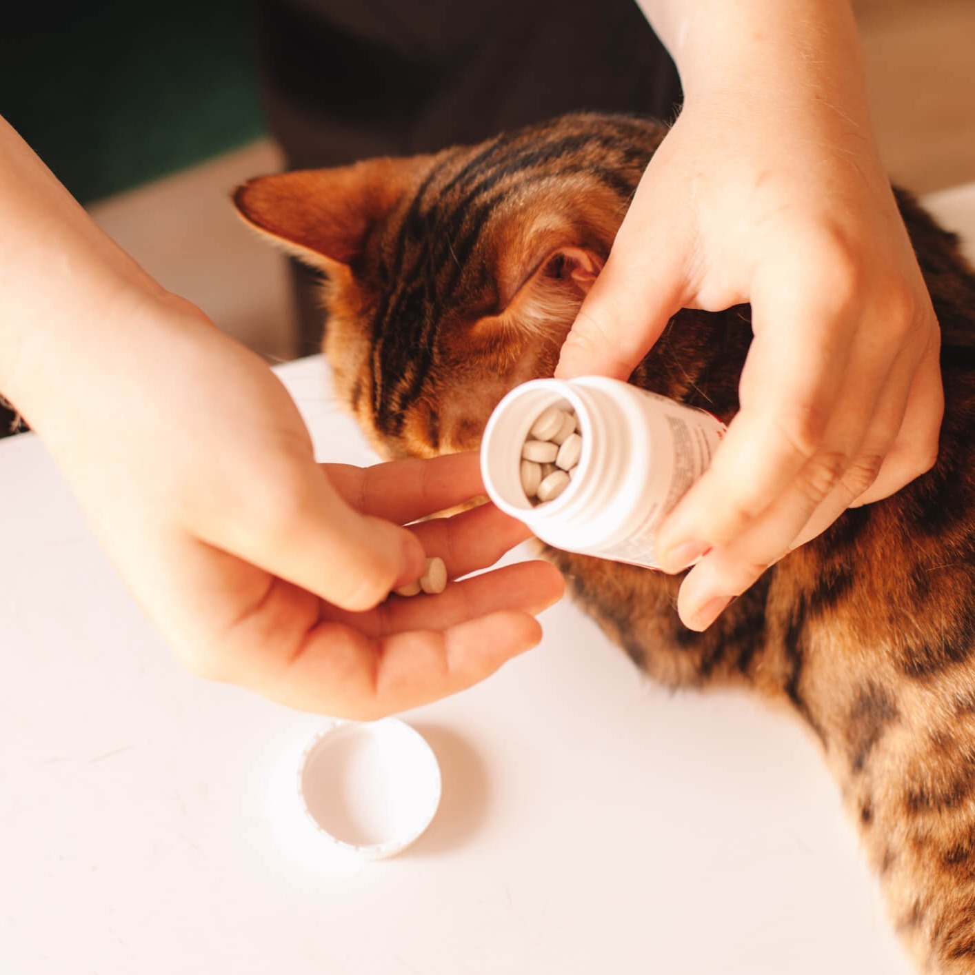 Pet Supplements (1)