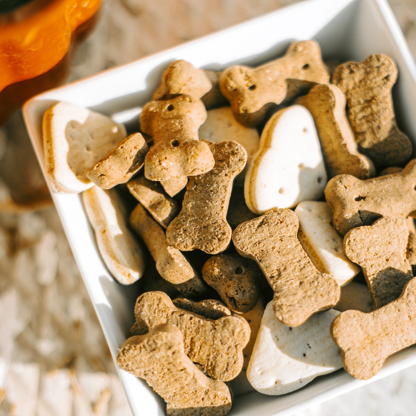 Pet Treats
