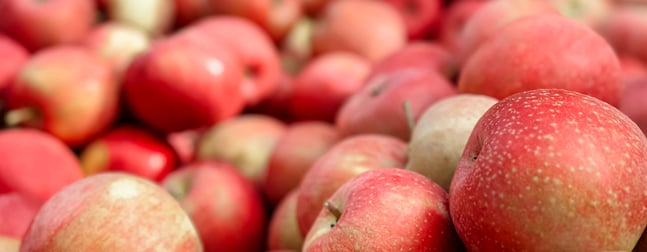 Sept 26_25 Flv Spotlight_1280 x 500_Fuji apple