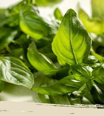 gourmet_garden_herb_laydown_360x401
