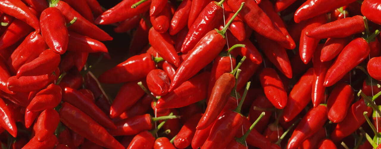 Calabrian Chili