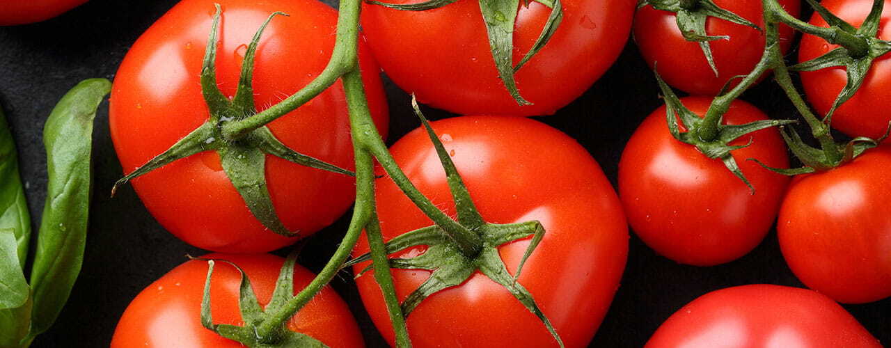 tomato_1280x500